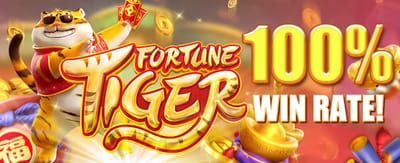 Fast Payouts Every Day